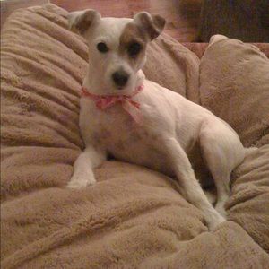 Meet your Posher, Marlene